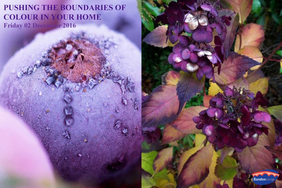 autumn-colour-rita-copy